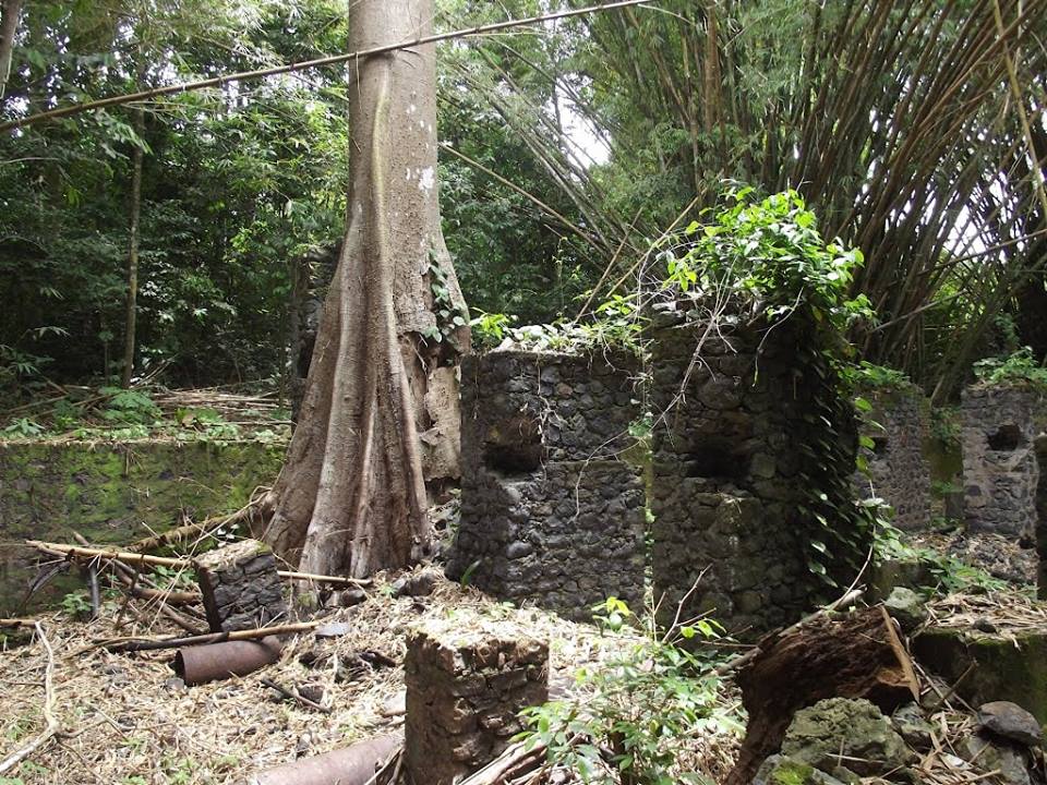 Bimbia, le plus grand port négrier d'Afrique Centrale
